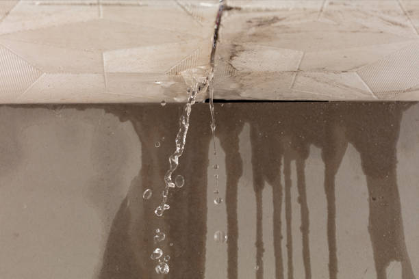 Professional Sewage Cleanup technician working in West Roxbury, MA